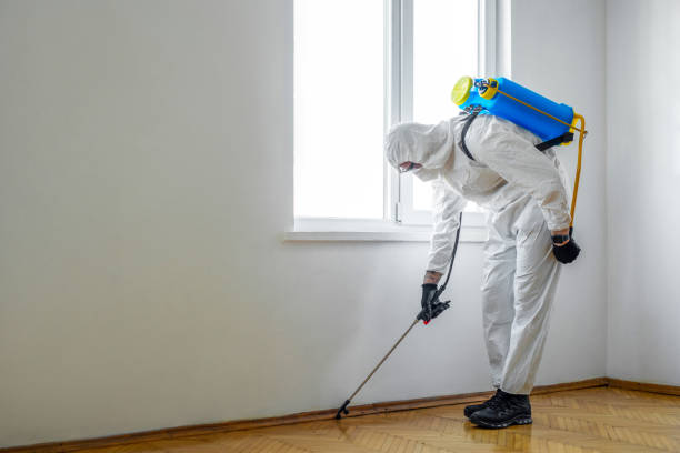 Emergency Pest Control Services in Richlands, NC